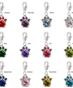 Paw Print Birthstone Charms