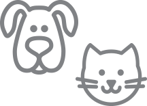 Dogs and Cats